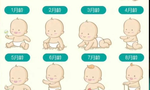 修正舒筋丸-修正舒筋风湿酒价格多少网- 修正筋骨疼痛贴说明书知识,分享修正筋骨片的作用